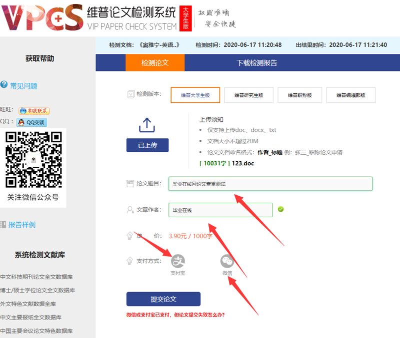 信息技术毕业：从初学者到专业人士的进阶之路