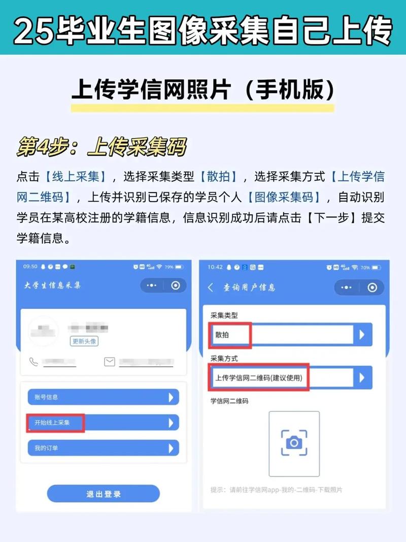 信息技术毕业，我们如何应对未来挑战？